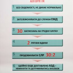 Комплект плакатів "Домедична допомога у разі ДТП"