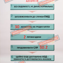 Комплект плакатів "Домедична допомога у разі ДТП"